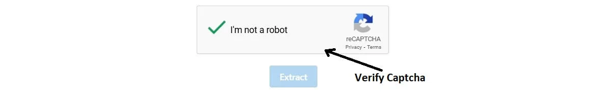 how to use youtube tag extractor step3
